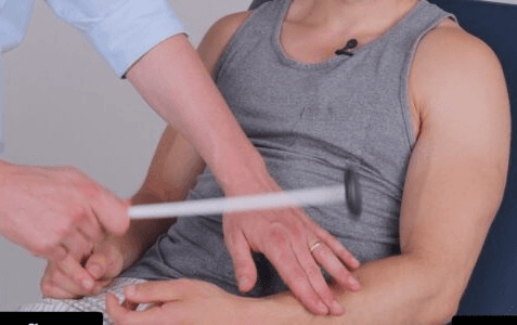 Examination of Central Nervous System (CNS) — live clinical demonstration